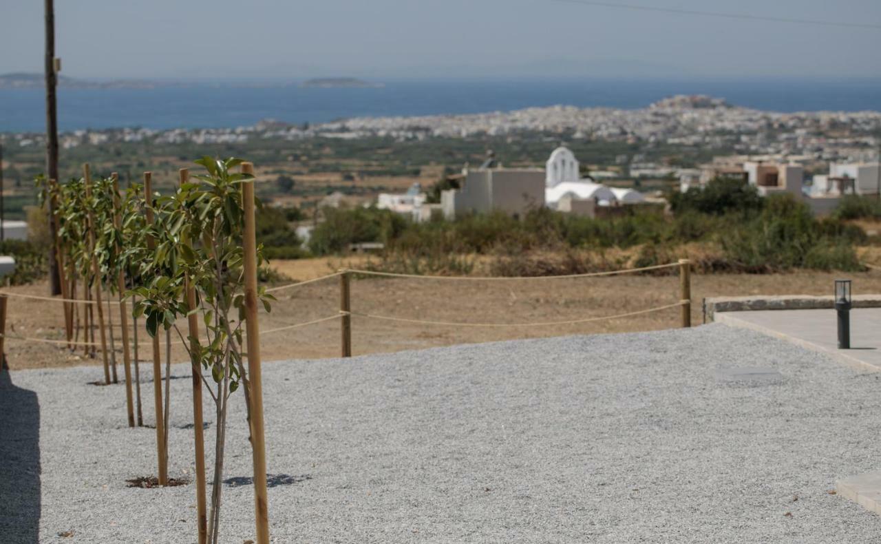 Naxos Infinity Villa And Suites Galanado Eksteriør billede